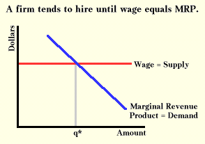 A firm hires until wage = MRP