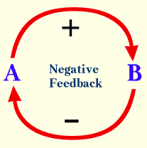 Negative Feedback