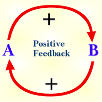 Positive Feedback